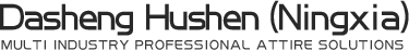 Dasheng Hushen (Ningxia) Technology Co., Ltd.